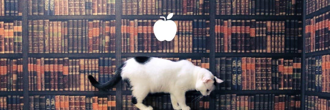 りんご猫とは、、 | ネコリパブリック｜日本の猫の殺処分をゼロに！