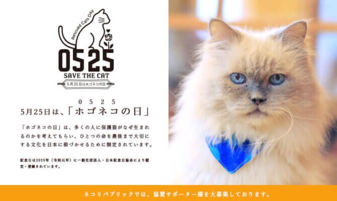 『5月25日ホゴネコの日 指１本でできる猫助けキャンペーン』結果報告！