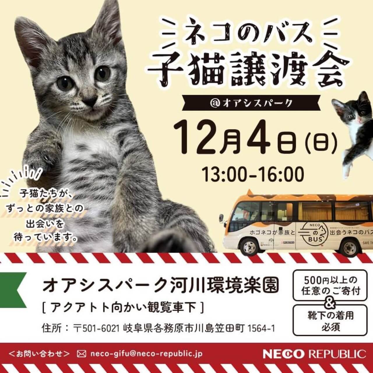 12月4日（日）！岐阜県最大級 子猫＆保護猫譲渡会! 会場はオアシス