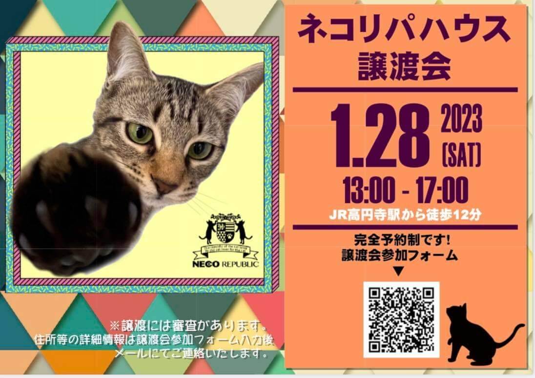 【✨お一人暮らしでも！ご高齢の方でも！飼育未経験の方でも