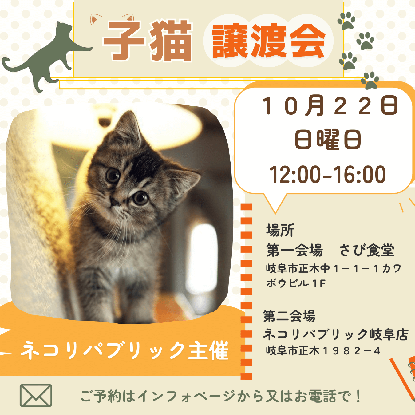 10月22日開催！岐阜県最大級 子猫＆保護猫譲渡会！命のバトンを繋ぐ