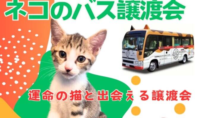 ネコのバスでの保護猫譲渡会が、大垣市アル・プラザ鶴見にやってくる！
