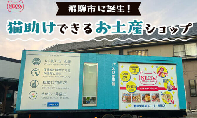 猫助けできるお土産ショップ、8月8日(木)岐阜県飛騨市にグランドオープン！コストコ再販店「ネコス ミニ」も併設。収益は保護猫活動に役立てられます。