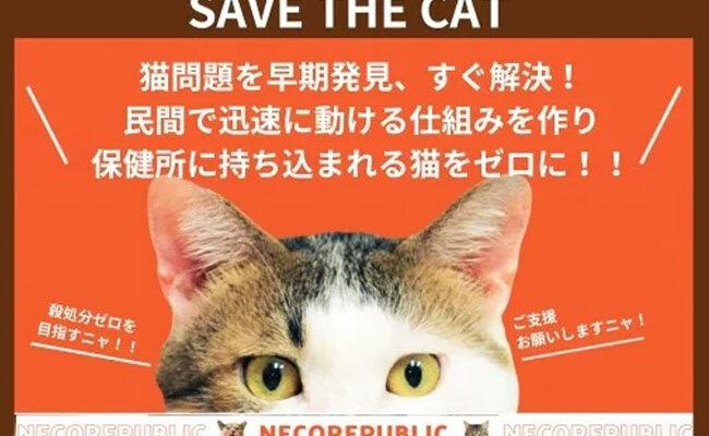 ふるさと納税で猫助け！猫問題を早期発見、すぐ解決！民間で迅速に動ける仕組みを作り、保健所に持ち込まれる猫をゼロに！ガバメントクラウドファンディングスタート