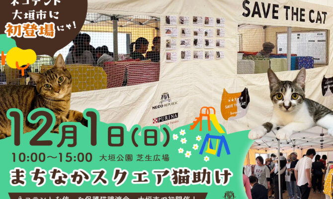 大垣公園が、ネコ、ネコ、ネコまみれ！？岐阜県大垣市の大垣公園芝生広場にて「まちなかスクエア猫助け」イベント開催決定！