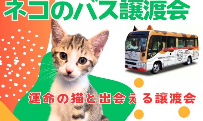 ネコのバスでの保護猫譲渡会が、岐阜県大垣市アルプラザ鶴見にやってくる！