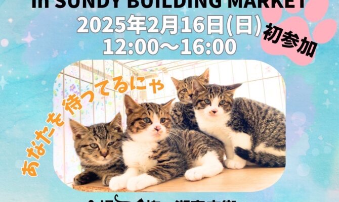 初開催✨岐阜の大人気イベントサンデービルヂングマーケットで保護猫譲渡会！